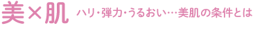 美×肌：ハリ・弾力・うるおい…美肌の条件とは