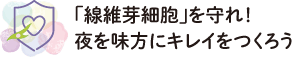「線維芽細胞」を守れ！夜を味方にキレイをつくろう