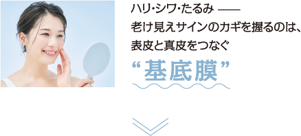 ハリ・シワ・たるみ−−老け見えサインのカギを握るのは、表皮と真皮を繋ぐ“基底膜”