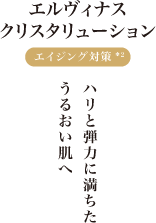 エルヴィナス クリスタリューション
