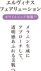 エルヴィナス フェアリューション