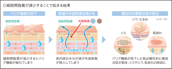 ◎細胞間脂質が減少することで起きる結果