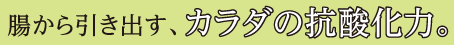 腸から引き出す、カラダの抗酸化力。