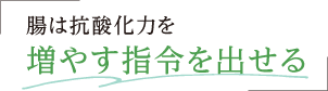 腸は抗酸化力を増やす指令を出せる