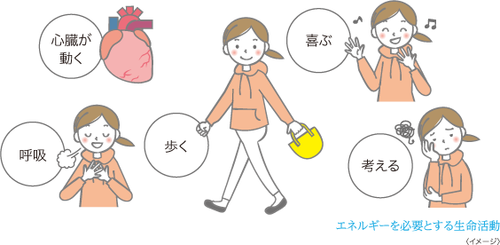 エネルギーを必要とする生命活動