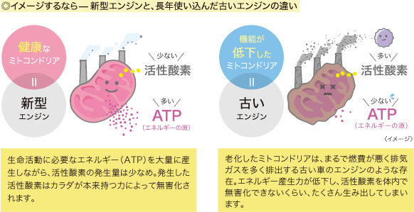 ◎イメージするなら—新型エンジンと、長年使い込んだ古いエンジンの違い