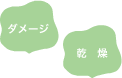 ダメージ／乾燥