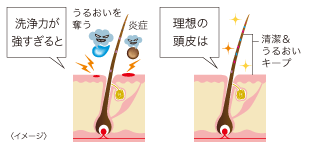洗浄力が強すぎる場合と理想の頭皮の比較